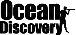 Ocean Discovery